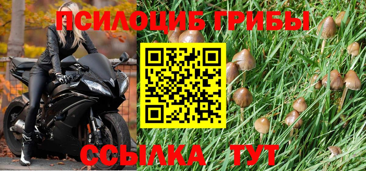 Псилоцибиновые грибы мухоморы Азнакаево